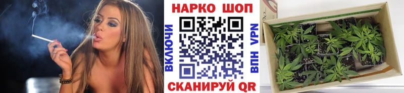 Где можно купить наркотики Вольск Бошки Шишки  Альфа ПВП  ГАШ 