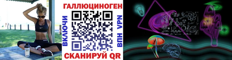 MEGA tor  маркетплейс Telegram  Псилоцибиновые грибы мухоморы  где продают наркотики  Вольск 